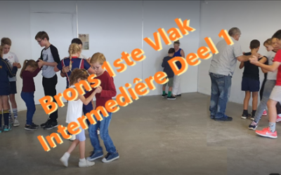 Brons 1ste Vlak Intermediêre Deel 1