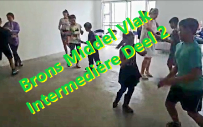 Brons Middel Vlak  Intermediêre Deel 2